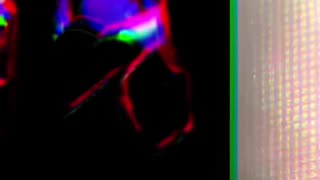 "When Words Fail, Music Speaks"