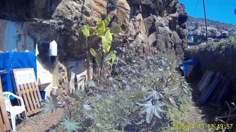 250419A___Madeira_NS-404,_cutting_excess_vegetation.(1080p)