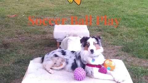 Soccer ball play with platforms and balance beams Play begis