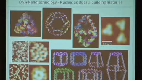 IEEE-EMBC 2011-Program-Systems in Synthetic Biology "Cell Based Computing" - Pamela A.