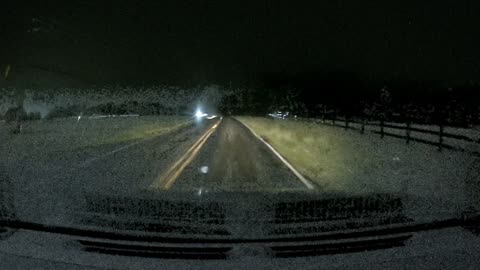 Headlights Conceal Fallen Branch