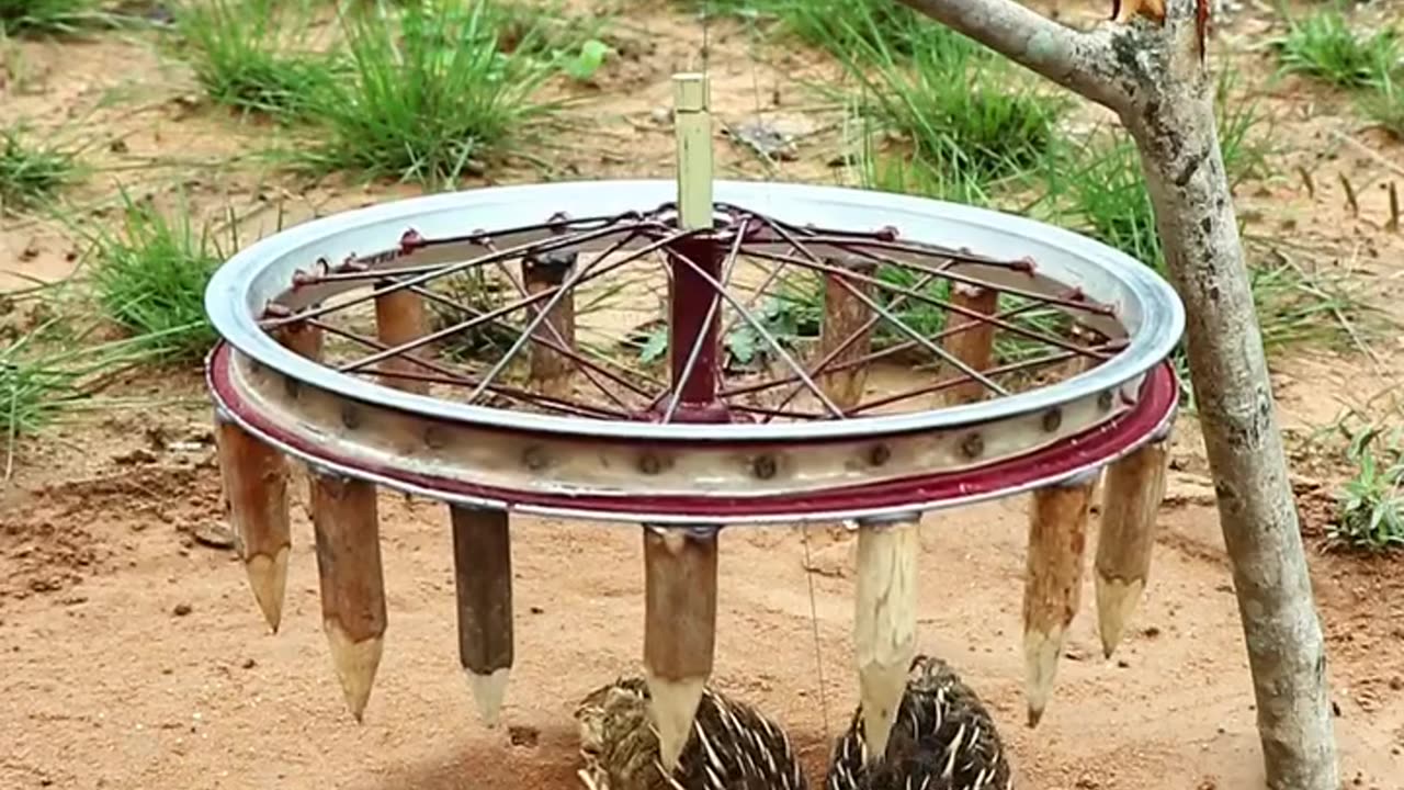 Fun video