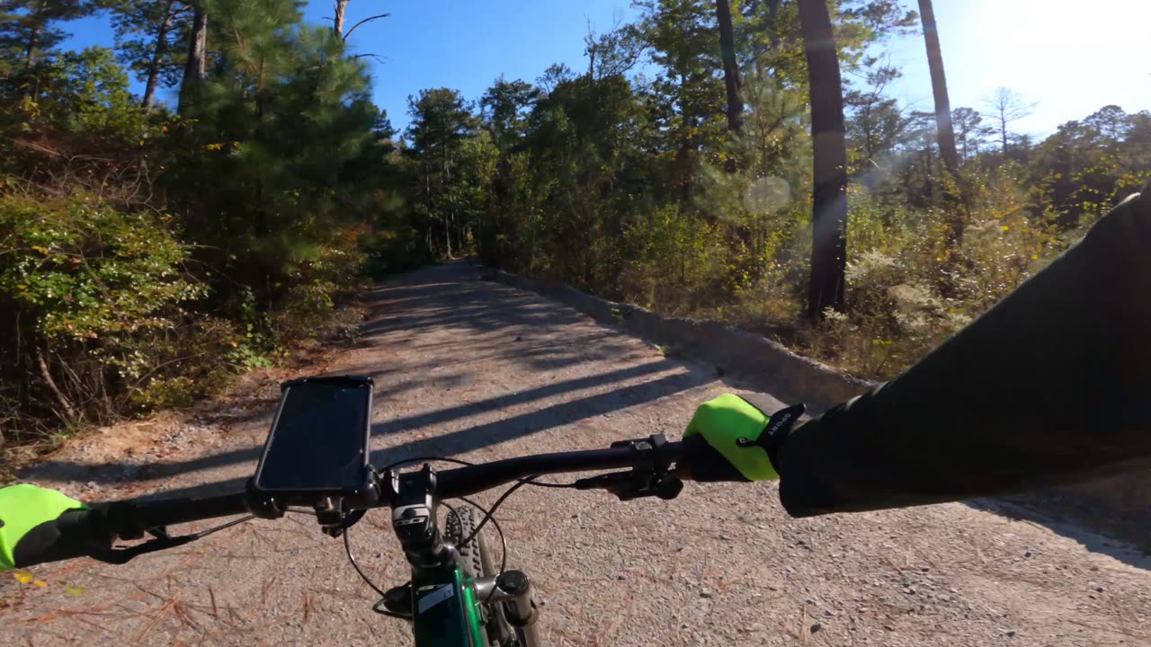 Downhill Lost In The Woods - 7