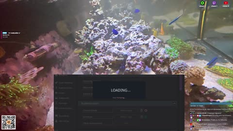 24/7 Real Live Reef Stream