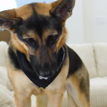 Our mission got out of hand FAST