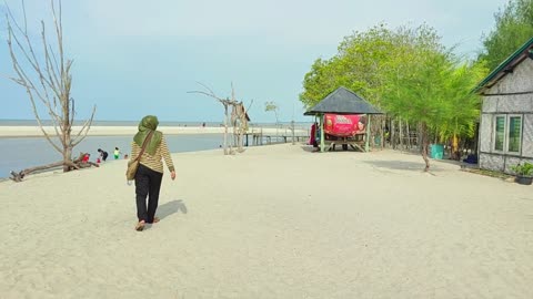 Peaceful Views by the Mangrove Shore – A Sunset to Remember (Part 3)