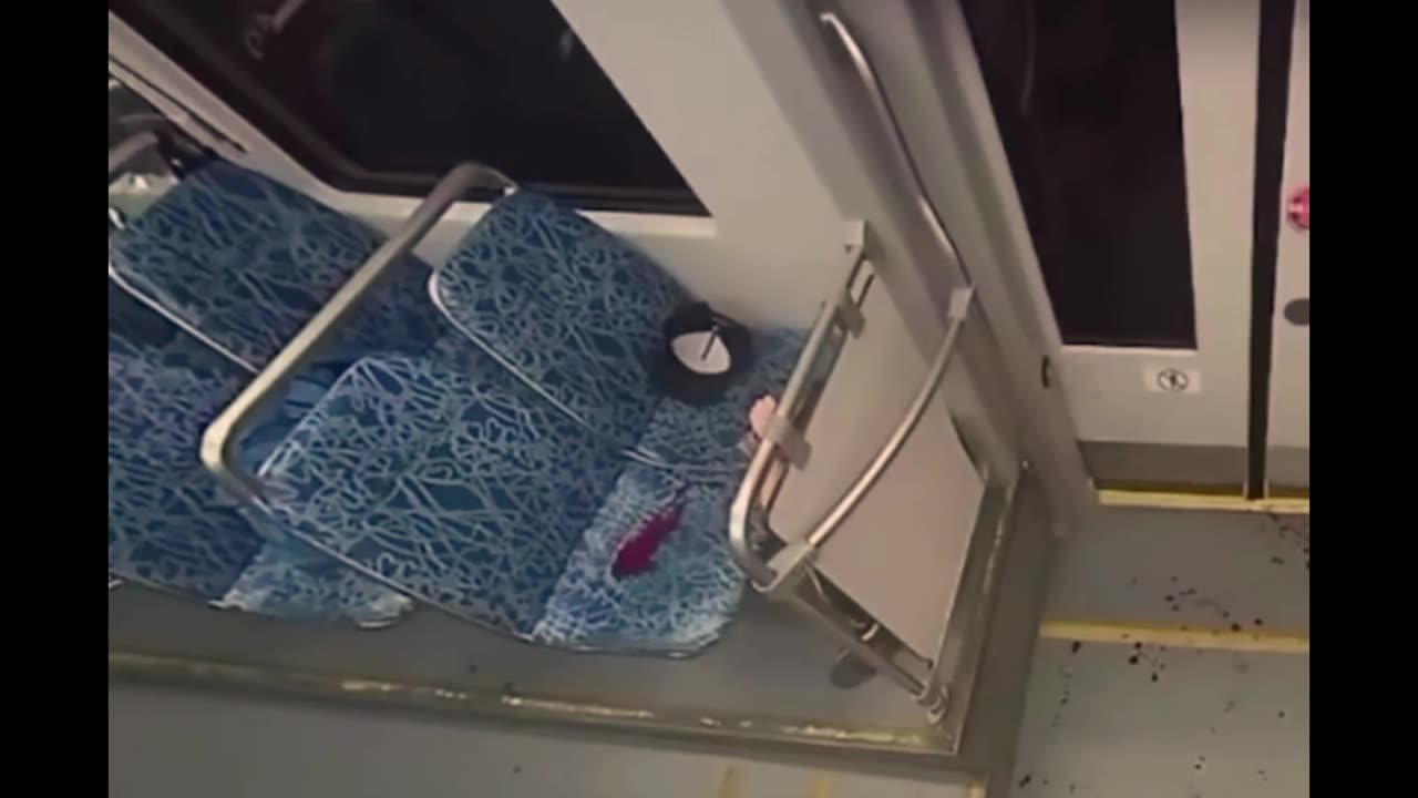 Fake stabbing of Ukrainian girl on train - Iryna Zarutska PSYOP