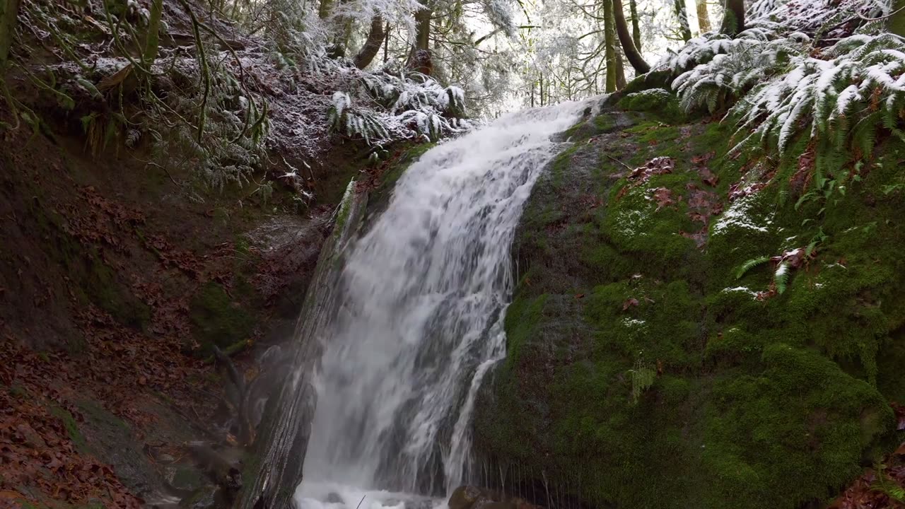 Scheherazade! (Rimsky-Korsakov) HD Beautiful Classical Music With Nature Video!