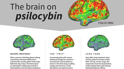 MAGIC MUSHROOM COMPOUND "RESETS" BRAIN
