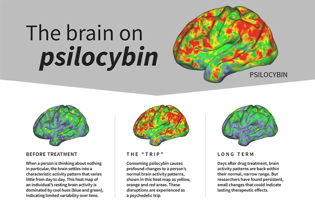 MAGIC MUSHROOM COMPOUND "RESETS" BRAIN