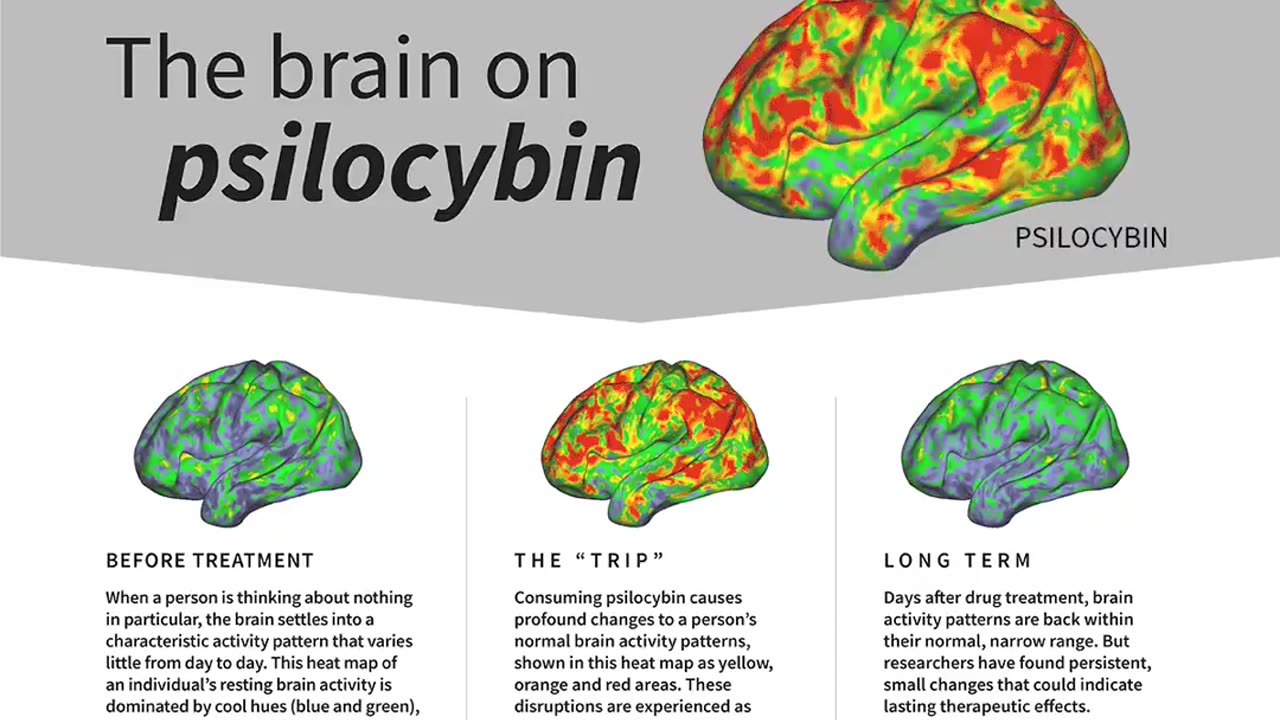 MAGIC MUSHROOM COMPOUND "RESETS" BRAIN