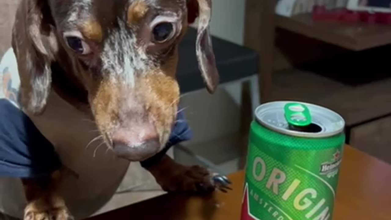 Growling Beer Security Activated