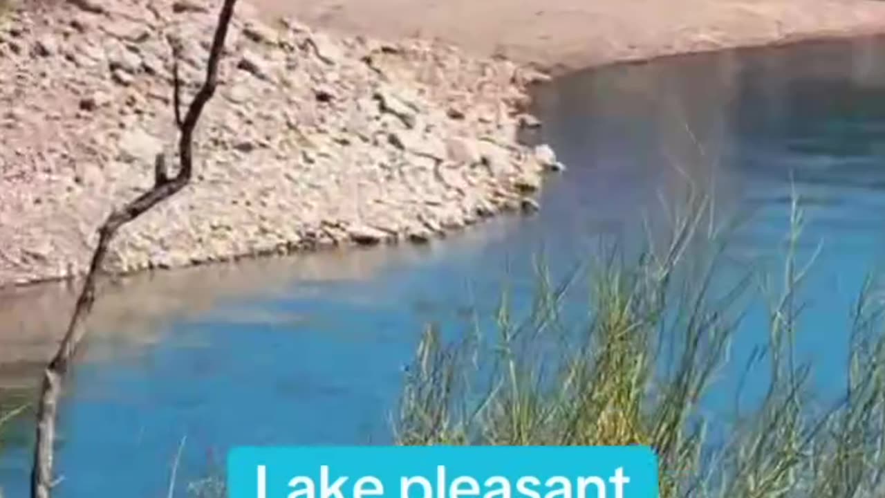 Pepsi is at the lake