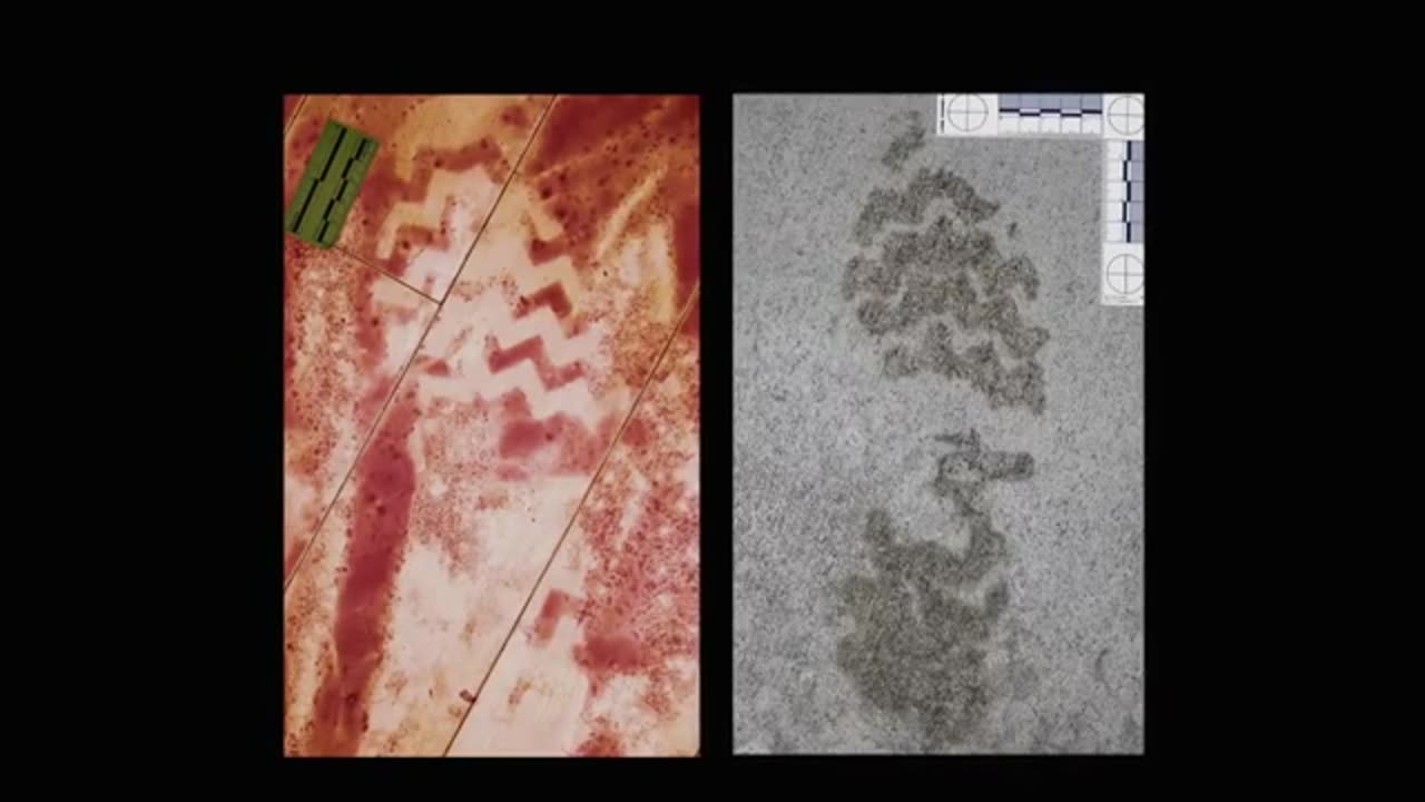 Forensic Files Season 13 Episode 41 Palm Saturday
