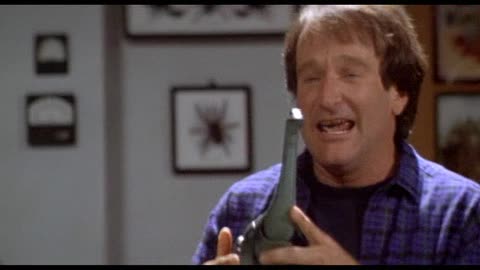 MRS DOUBTFIRE