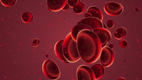 SeraSeal India – The First Hemostatic Agent for Rapid Bleeding Control