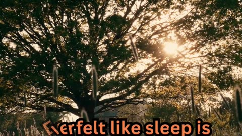 Better Sleep Tips#AncientWisdom 📜 #SleepBetter 😴 #OldSchoolTips 🌙 #NapTime 🛏️ #ZenMode 🧘