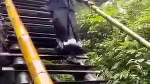 Funny video