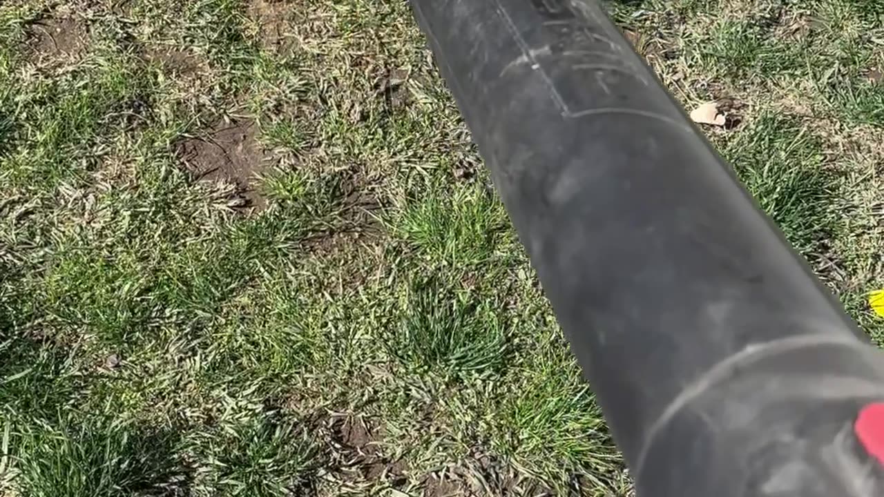 Puppy Reacts to Leaf Blower