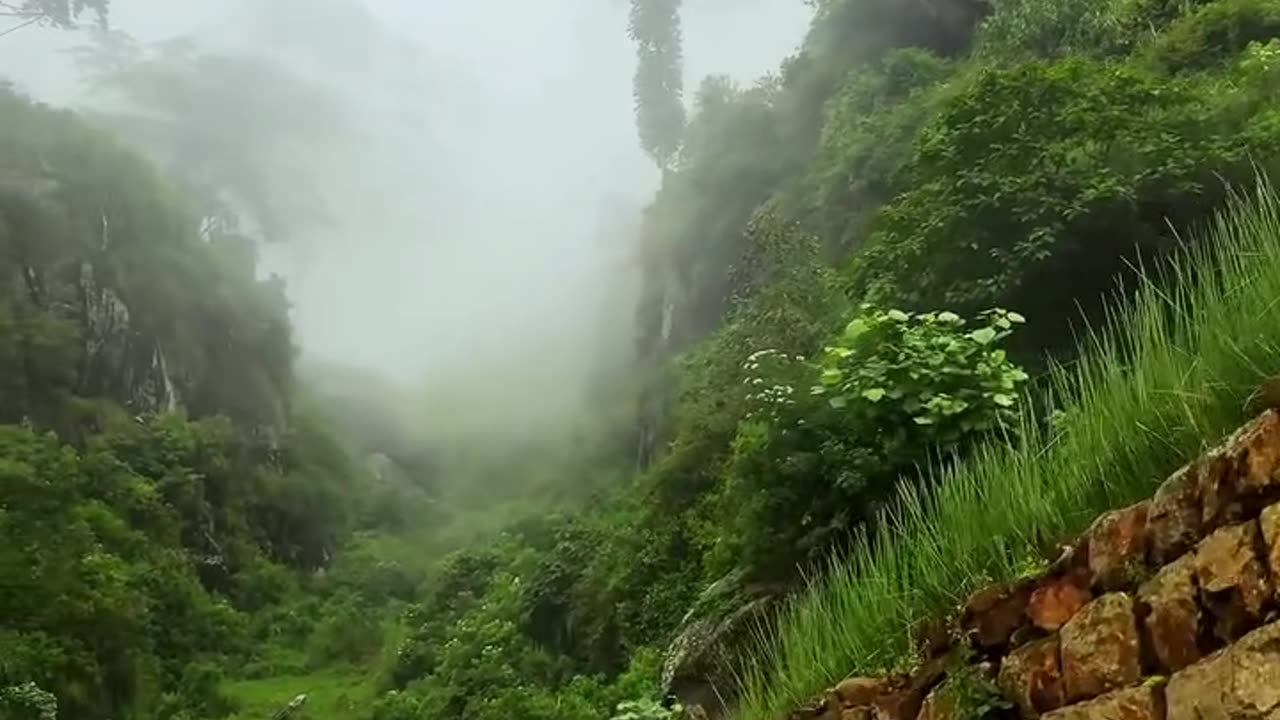 I thought it was Switzerland.