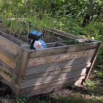 Off-Grid Gym_ Turning Stump Removal Into a Killer Workout! #livingoffgrid