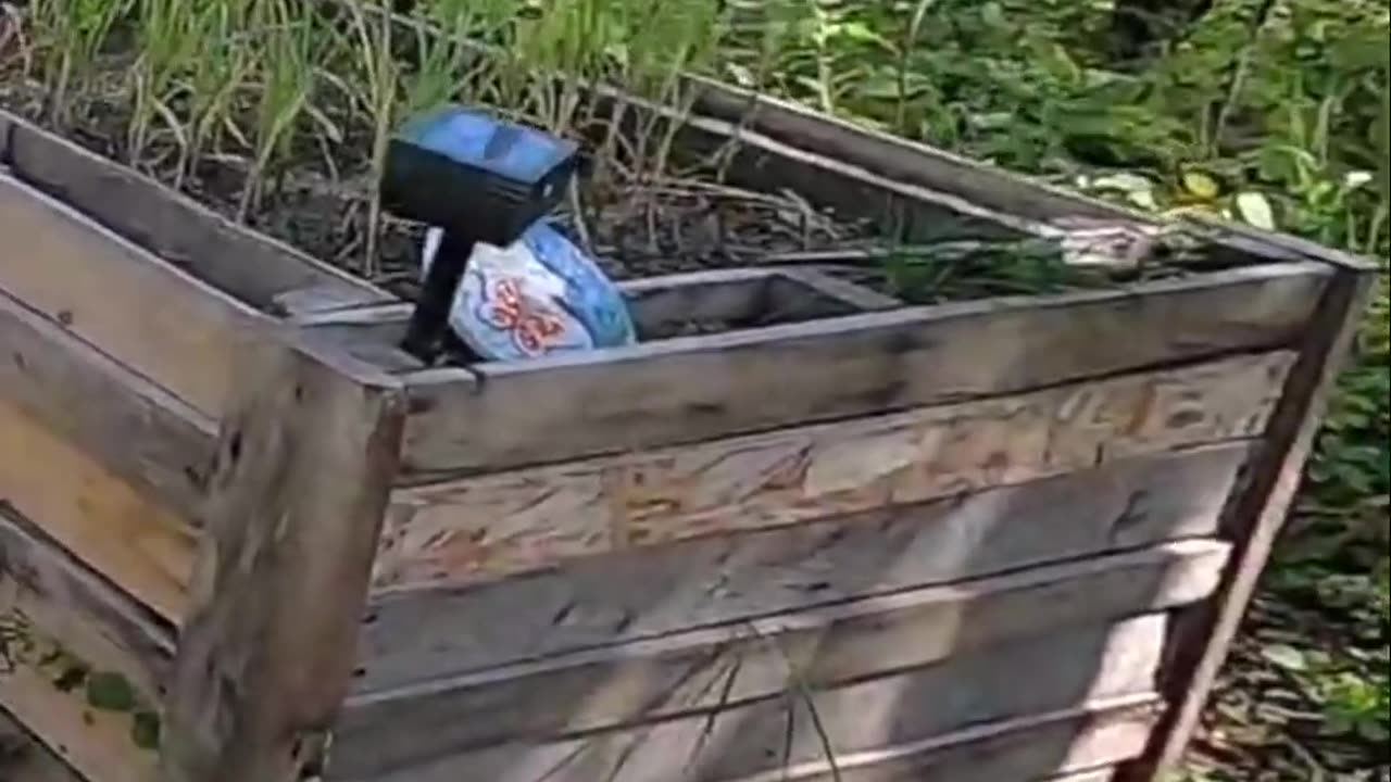 Off-Grid Gym_ Turning Stump Removal Into a Killer Workout! #livingoffgrid