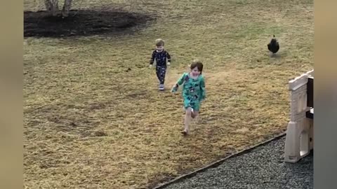 Funny Chickens Chasing Troll Babies and Kids
