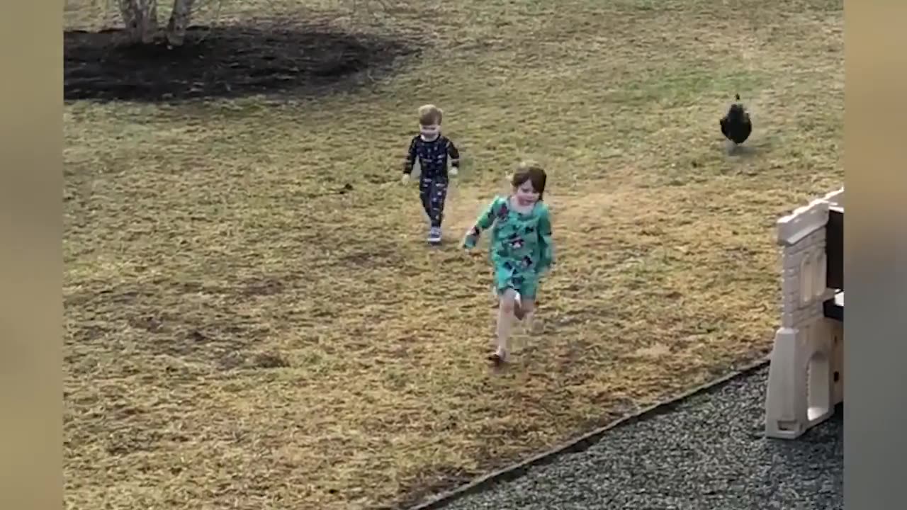 Funny Chickens Chasing Troll Babies and Kids