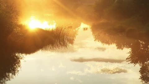 🧘 Morning Mindset Reset | 432Hz Grabovoi Frequency for Focus & Positivity