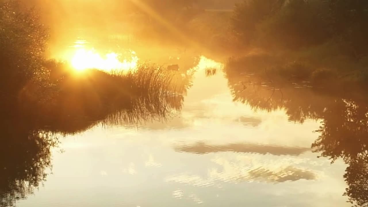 🧘 Morning Mindset Reset | 432Hz Grabovoi Frequency for Focus & Positivity