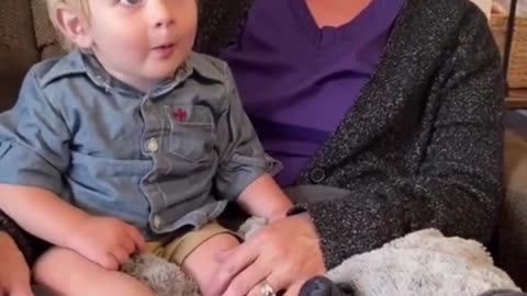 Funny Babies – Hilarious Moments You Can’t Stop Laughing At!