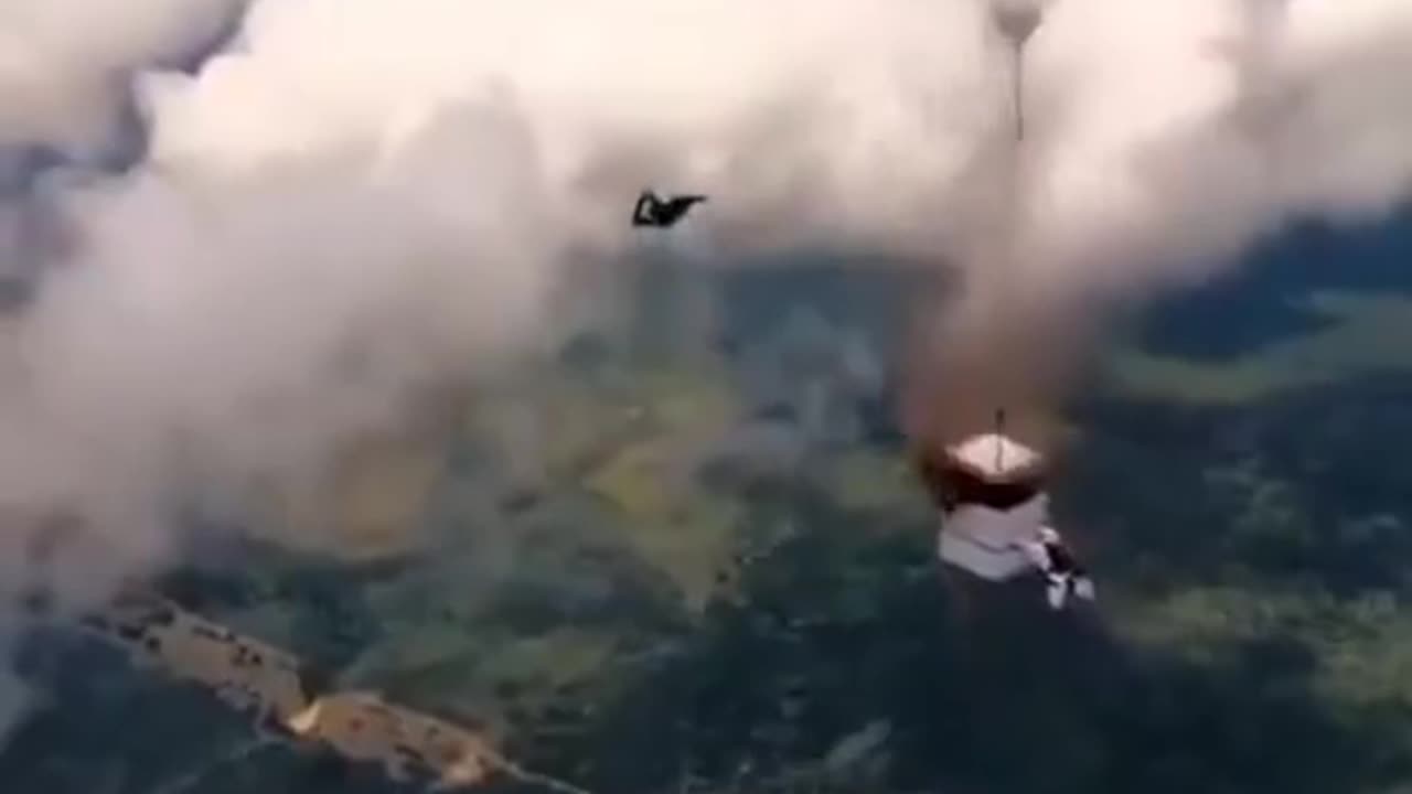 Skydiver Luigi Cani scattered 100 million tree seeds in Amazon