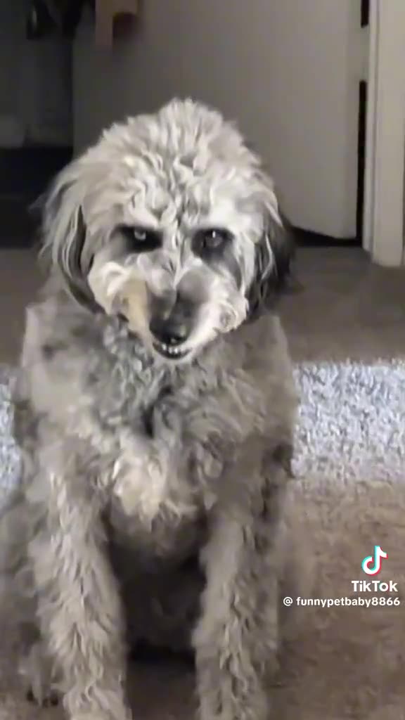 SMIRKING SUNDAY 6/1/25