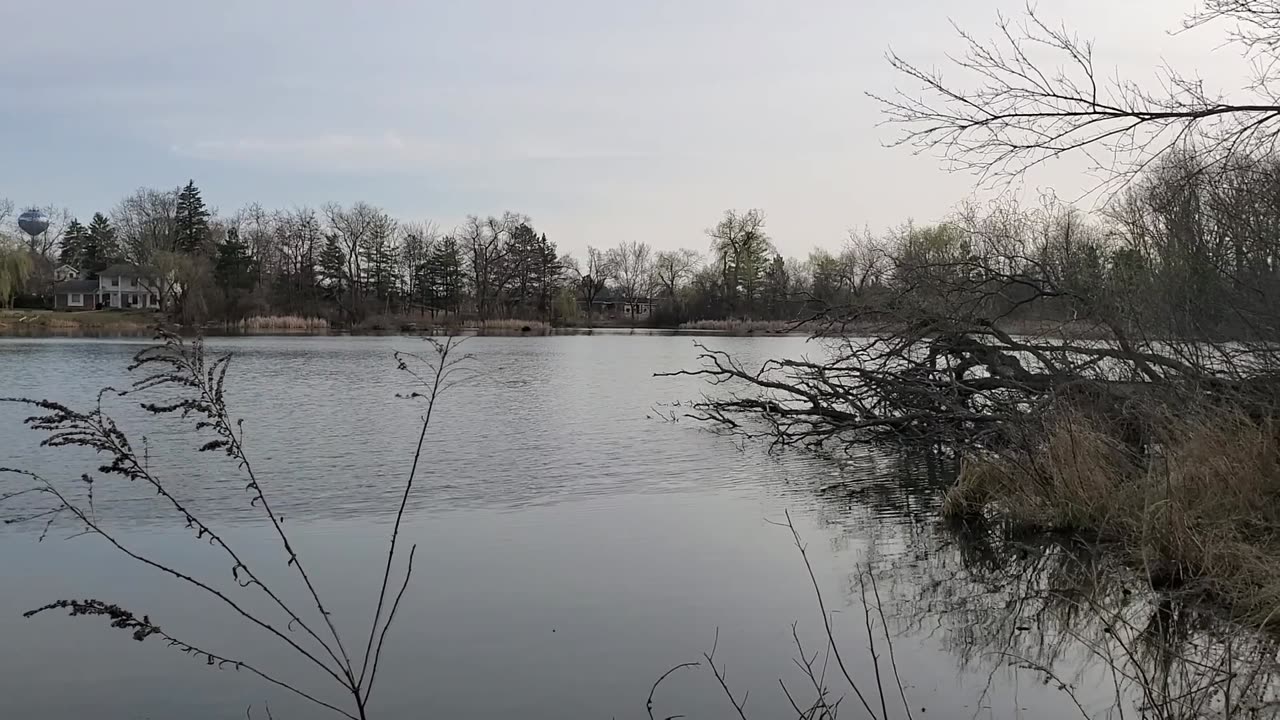 Neighborhood Pond at Sunset