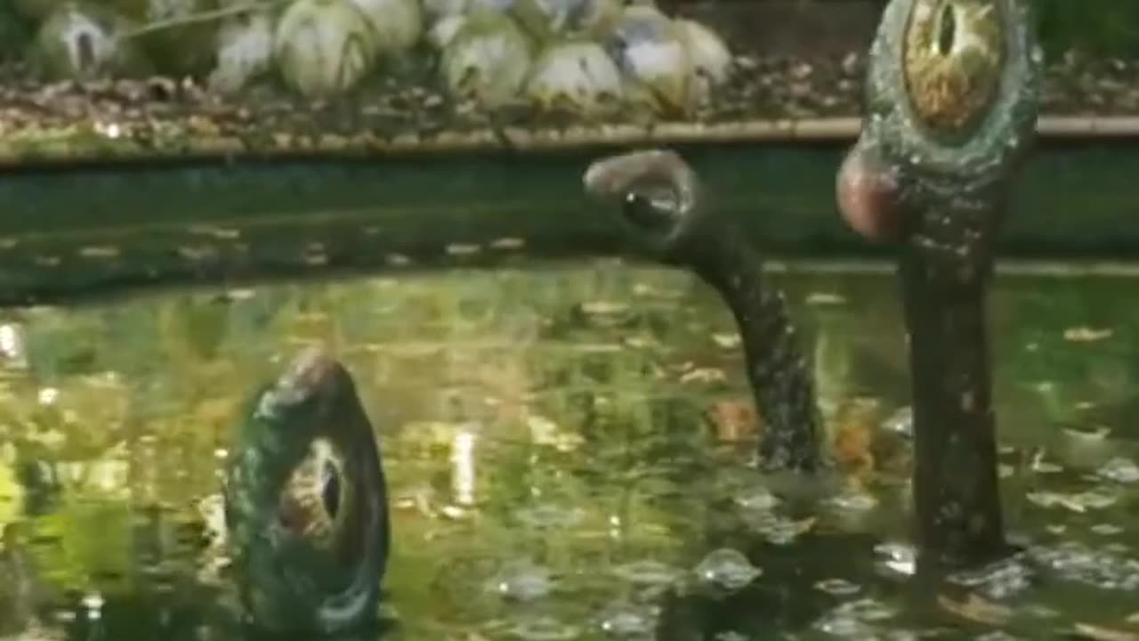 Scary सफर बड़ा मुश्किल है