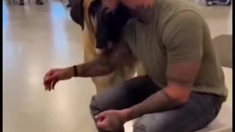 The Dogs Choose Owners