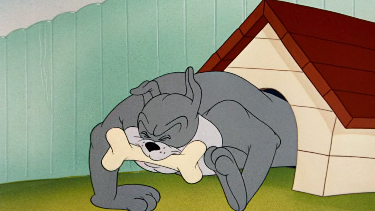 Tom and Jerry S1950E07 - The Framed Cat (1080p AMZN WEB-DL x265 Ghost)