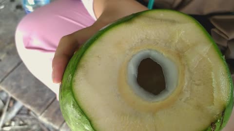 Refreshing Young Coconut Harvest – A Perfect Drink for a Hot Afternoon