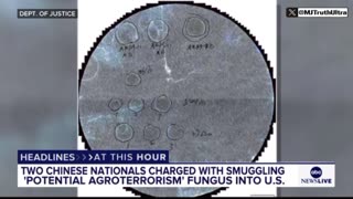 Chinese Nationals Busted Smuggling ‘Crop-Destroying Super Fungus’ into U.S