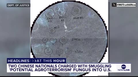 Chinese Nationals Busted Smuggling ‘Crop-Destroying Super Fungus’ into U.S