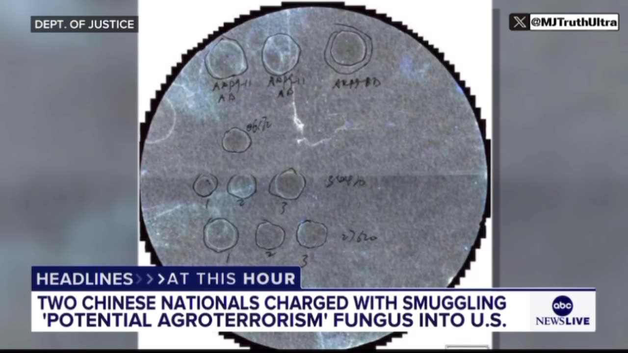 Chinese Nationals Busted Smuggling ‘Crop-Destroying Super Fungus’ into U.S