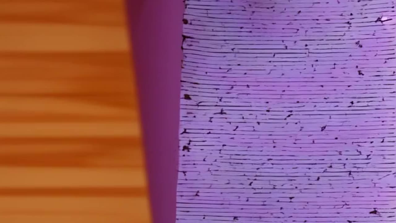 Paper cut in macro