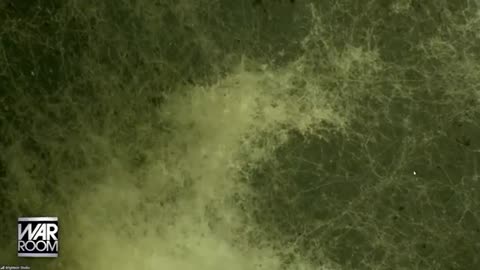 Microscopic Organic and Inorganic Neurotoxic Materials That Are Falling From Our Skies