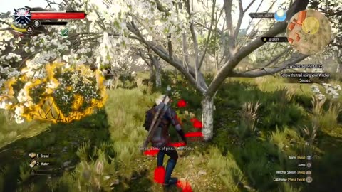 The Witcher 3: Wild Hunt - Twisted Firestarter