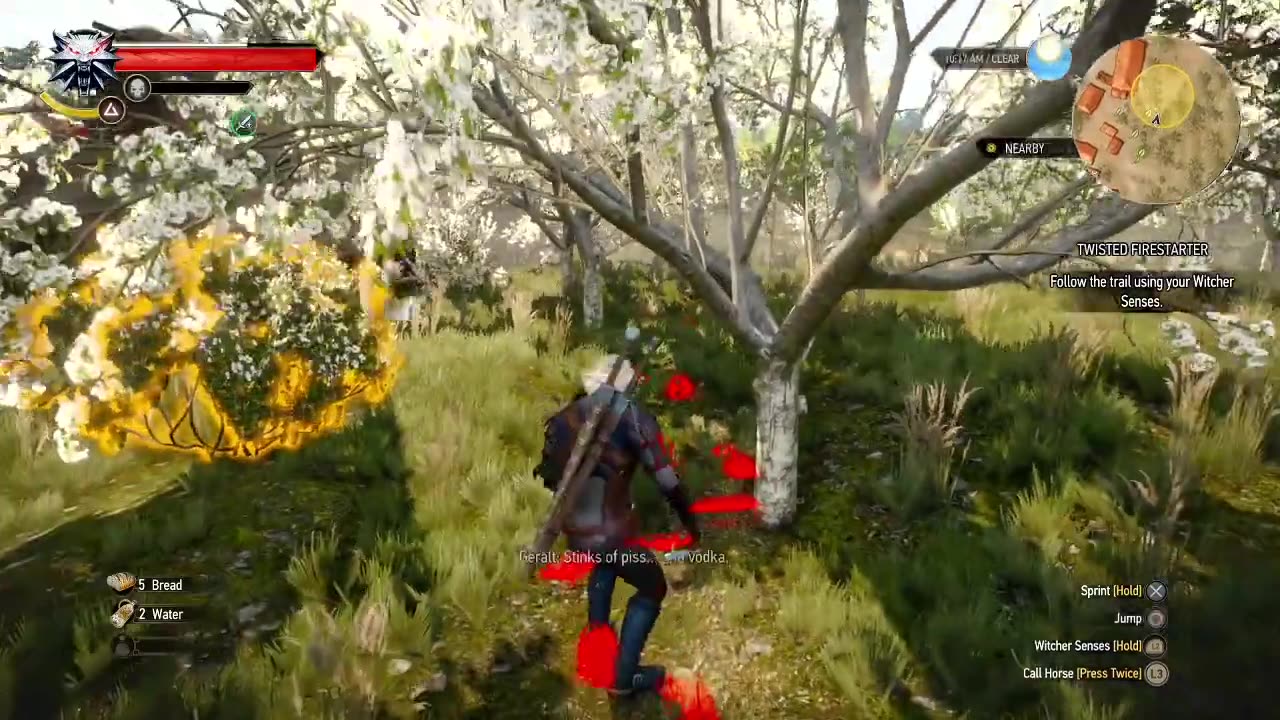 The Witcher 3: Wild Hunt - Twisted Firestarter