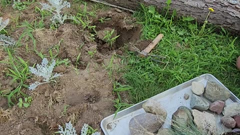 Upgrading with Boutique Ornamental Grasses