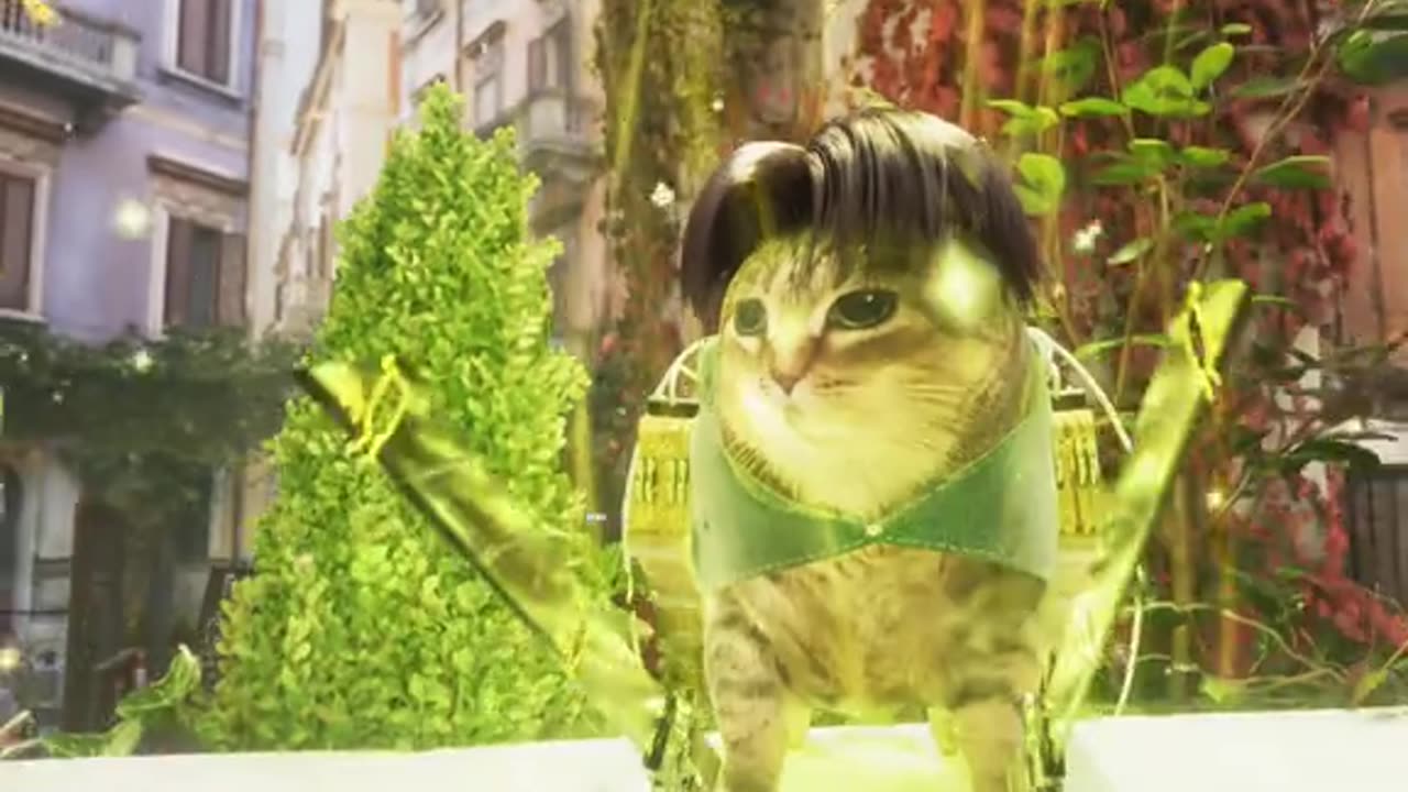 Oiiai Cat's fashion show #memes #oiiaiiooiiai
