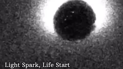 Life’s First Spark: Real Footage of the Fertilization Light Burst