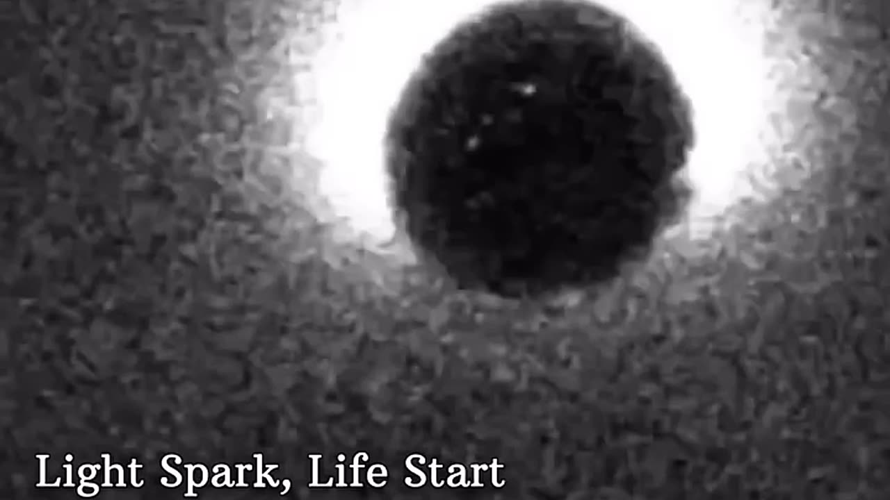 Life’s First Spark: Real Footage of the Fertilization Light Burst