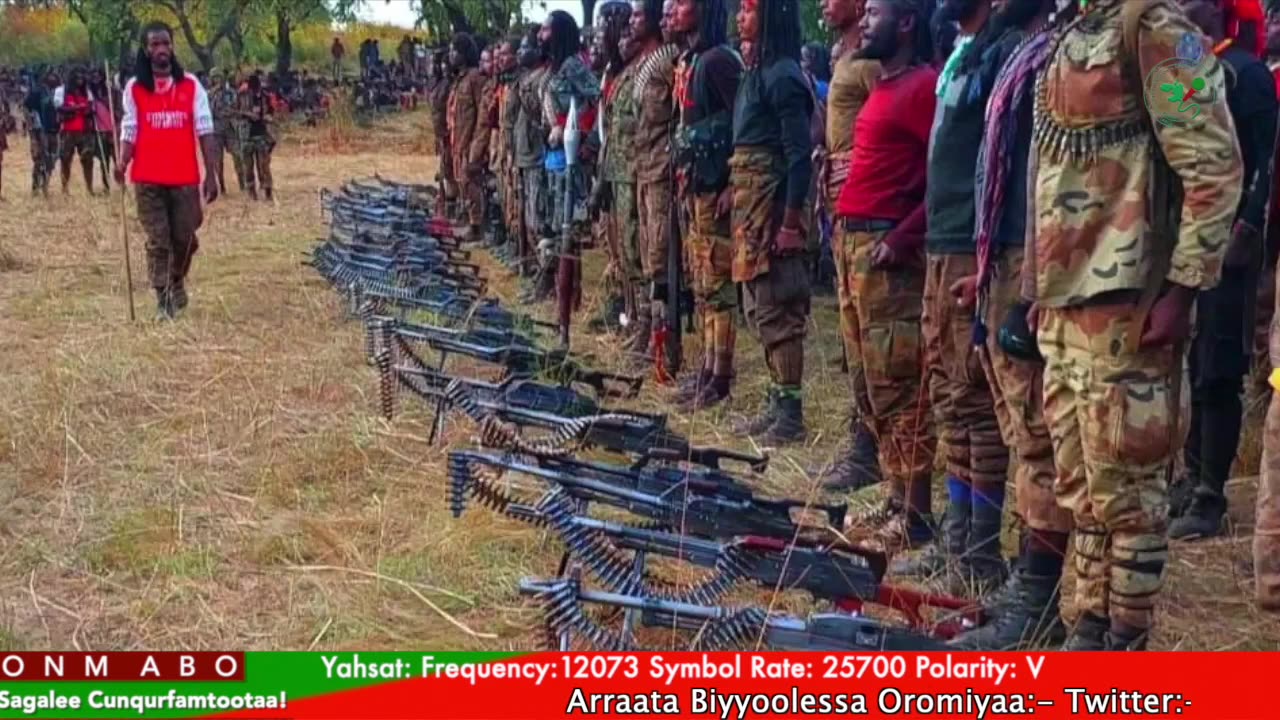 Gabaasa Tarkaanfii ONM-ABO Caamsaa 24-2025 itti dhiyaadhaa!